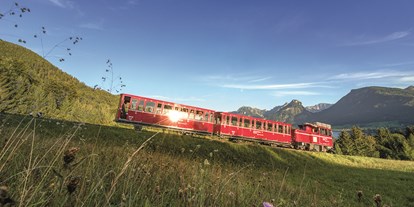 Ausflug mit Kindern - öffentliche Verkehrsmittel - Weyregg am Attersee - Hoch hinaus! - SchafbergBahn