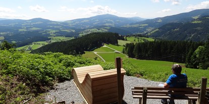 Ausflug mit Kindern - PLZ 8680 (Österreich) - Aussichtspunkt am Weg der Labyrinthe (C) Karl Zodl - Weg der Labyrinthe