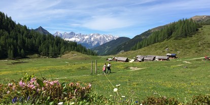 Ausflug mit Kindern - Dauer: unter einer Stunde - Steiermark - Ursprungalm-Rundweg - Quelle der Sinne