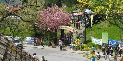 Ausflug mit Kindern - Ausflugsziel ist: ein Weg - Kogelbuch - Blütenfest - Hochgartl - Steirische Apfelstraße