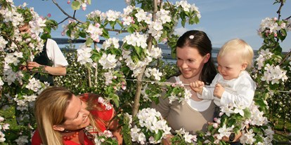 Ausflug mit Kindern - Ausflugsziel ist: ein Weg - Großsteinbach - Apfelblüten - Steirische Apfelstraße