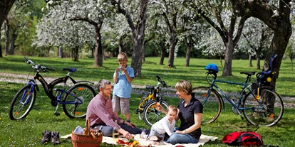 Ausflug mit Kindern - Themenschwerpunkt: Abenteuer - Krumegg (Sankt Marein bei Graz) - Familien-Picknick unter den blühenden Apfelbäumen - Steirische Apfelstraße