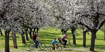 Trip with children - Puch bei Weiz - Radfahren im Frühling durch blühende Obstgärten - Steirische Apfelstraße