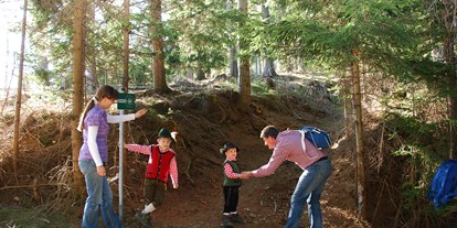 Ausflug mit Kindern - Inneres Kaltenegg - Planetenweg