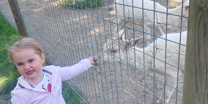Ausflug mit Kindern - Ausflugsziel ist: ein Tierpark - Wettmannstätten - Tier-, Wild- und Spielpark Preding