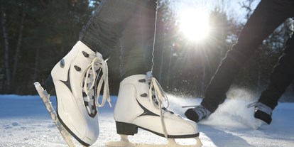 Ausflug mit Kindern - Witterung: Schnee - Italien - St. Vigil Schlittschuhlaufen