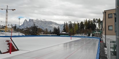 Ausflug mit Kindern - Ausflugsziel ist: eine Sportanlage - Moelten - Eislaufen am Eisring der Ritten Arena