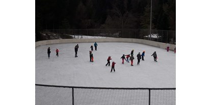 Ausflug mit Kindern - Karneid - Eislaufplatz Kantun in Tiers am Rosengarten