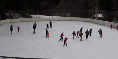 Ausflug mit Kindern - Feldthurns - Eislaufplatz Kantun in Tiers am Rosengarten