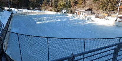 Ausflug mit Kindern - Ausflugsziel ist: eine Sportanlage - Moelten - Eislaufplatz Kantun in Tiers am Rosengarten