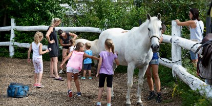 Ausflug mit Kindern - Themenschwerpunkt: Pferde - Bio Stutenmilchgestüt Töchterlehof