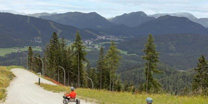 Ausflug mit Kindern - Themenschwerpunkt: Bewegung - PLZ 8692 (Österreich) - Gemeindealpe Mitterbach