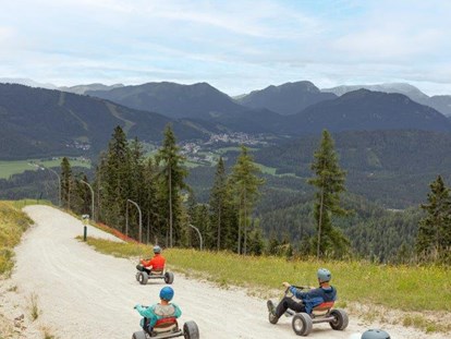 Ausflug mit Kindern - Weg: Naturweg - Gemeindealpe Mitterbach