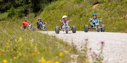 Ausflug mit Kindern - Niederösterreich - Gemeindealpe Mitterbach