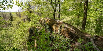 Ausflug mit Kindern - Witterung: Bewölkt - Schwarzenau - Salamanderfelsen (c) Naturpark Geras - Naturpark Geras
