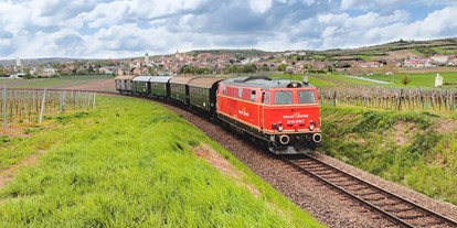 Ausflug mit Kindern - Dauer: halbtags - Röschitz - Unterwegs zwischen Retz und Drosendorf - Bahnerlebnis Reblaus Express