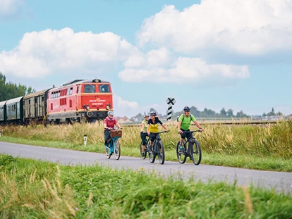 Trip with children - Witterung: Bewölkt - Unterstinkenbrunn - Verbinden Sie eine Bahnfahrt mit einer Radtour - Bahnerlebnis Reblaus Express