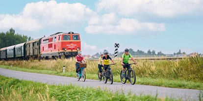 Ausflug mit Kindern - Gastronomie: kinderfreundliches Restaurant - Niederösterreich - Verbinden Sie eine Bahnfahrt mit einer Radtour - Bahnerlebnis Reblaus Express