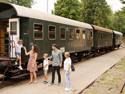 Ausflug mit Kindern - Dauer: ganztags - Harth - Bahnerlebnis Reblaus Express