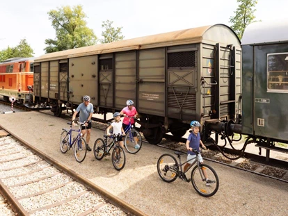 Ausflug mit Kindern - Ausflugsziel ist: eine Bahn - Österreich - Bahnerlebnis Reblaus Express