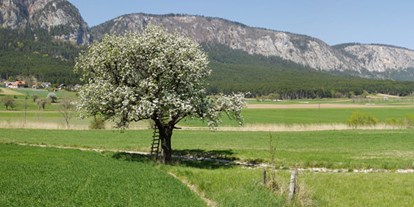 Ausflug mit Kindern - Steinabrückl - Natur pur - Mohr-Sederl Fruchtwelt