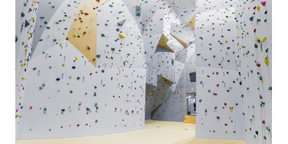 Ausflug mit Kindern - Ausflugsziel ist: eine Sportanlage - Schönberg im Stubaital - Kletterwand - basecamp Matrei