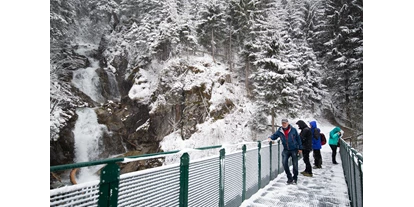 Trip with children - Passeier - Brücke im Winter - Mühlendorf Gschnitz