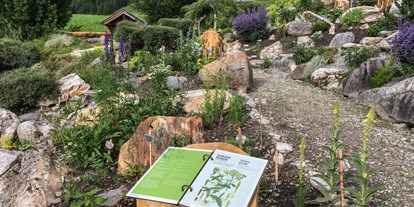 Ausflug mit Kindern - Ausflugsziel ist: ein Weg - Schönberg im Stubaital - Alpenblumengarten