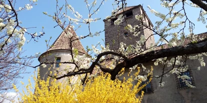 Ausflug mit Kindern - sehenswerter Ort: Schloss - Italien - Frühling in Bozen - Schloss Maretsch