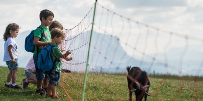 Ausflug mit Kindern - Preisniveau: günstig - Raas (Trentino-Südtirol) - Sommerangebot Kronplatz