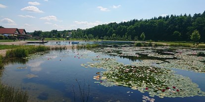 Ausflug mit Kindern - Themenschwerpunkt: Schwimmen - Allersdorf im Burgenland / Kljucarevci - Wassererlebniswelt Südburgenland