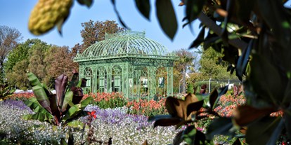 Ausflug mit Kindern - outdoor - Wien - Pavillon mit Sommerblumenschau - Blumengärten Hirschstetten