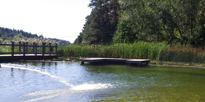 Ausflug mit Kindern - Ausflugsziel ist: ein Bad - Neustift an der Lafnitz - Naturschwimmbad Bernstein