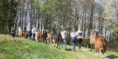 Ausflug mit Kindern - Umgebungsschwerpunkt: Land - PLZ 7412 (Österreich) - Lamas vom Elfenhof