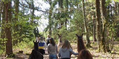 Ausflug mit Kindern - Umgebungsschwerpunkt: Land - Südburgenland - Lamas vom Elfenhof