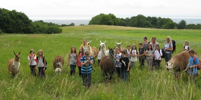 Trip with children - Themenschwerpunkt: Wandern - Möllersdorf - Schulausflug - Striok's Lamas