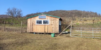 Ausflug mit Kindern - Pöttsching - Jause Hütte - Striok's Lamas