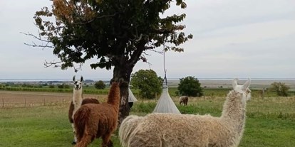 Ausflug mit Kindern - Klein-Neusiedl - Weide - Striok's Lamas