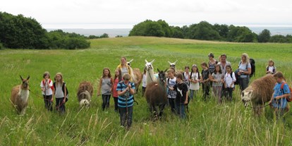 Ausflug mit Kindern - Pöttsching - Striok's Lamas