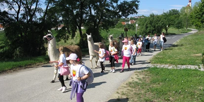 Trip with children - Göttlesbrunn - Striok's Lamas