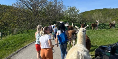 Ausflug mit Kindern - Themenschwerpunkt: Wandern - Möllersdorf - Striok's Lamas