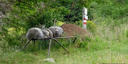 Ausflug mit Kindern - Kräuping - Ameisenlehrpfad am Klippitztörl  - Sommerrodelbahn & Erlebnisklettergarten Klippitztörl