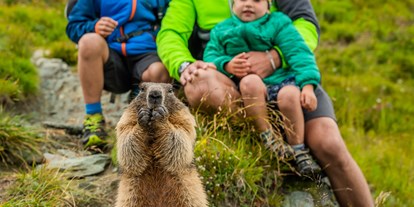Ausflug mit Kindern - Ausflugsziel ist: ein Wandergebiet - Hopfberg - Murmeltiere - Gletscherbahn-Erlebnis ewiges Eis