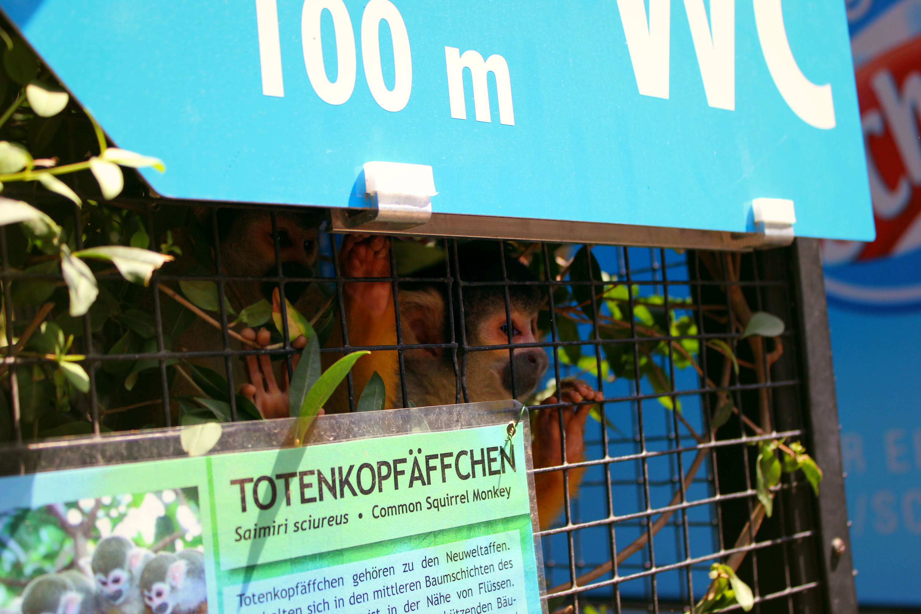 Ausflugsziel: Zoo Schmiding Aqua Zoo