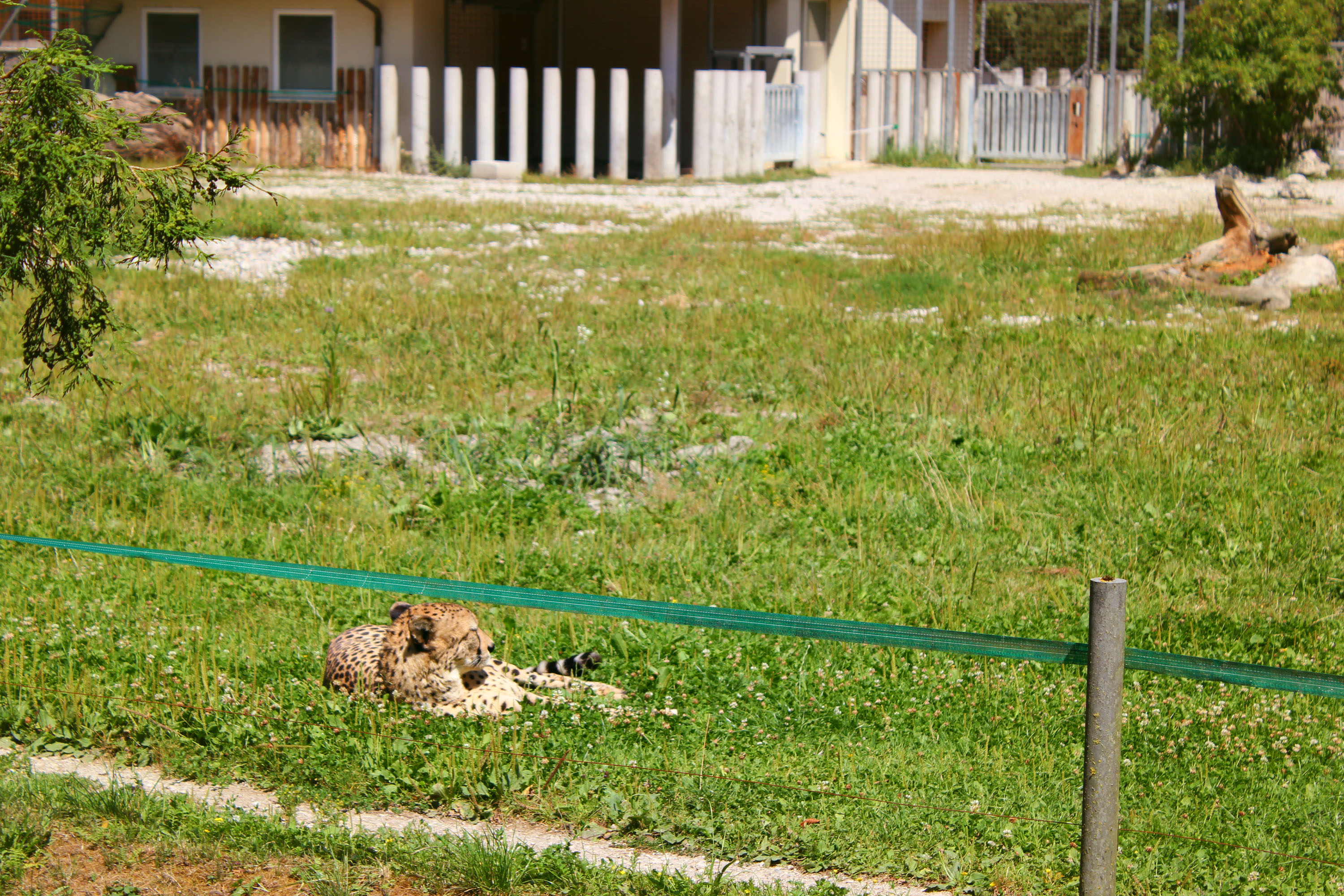 Ausflugsziel: Zoo Schmiding Aqua Zoo