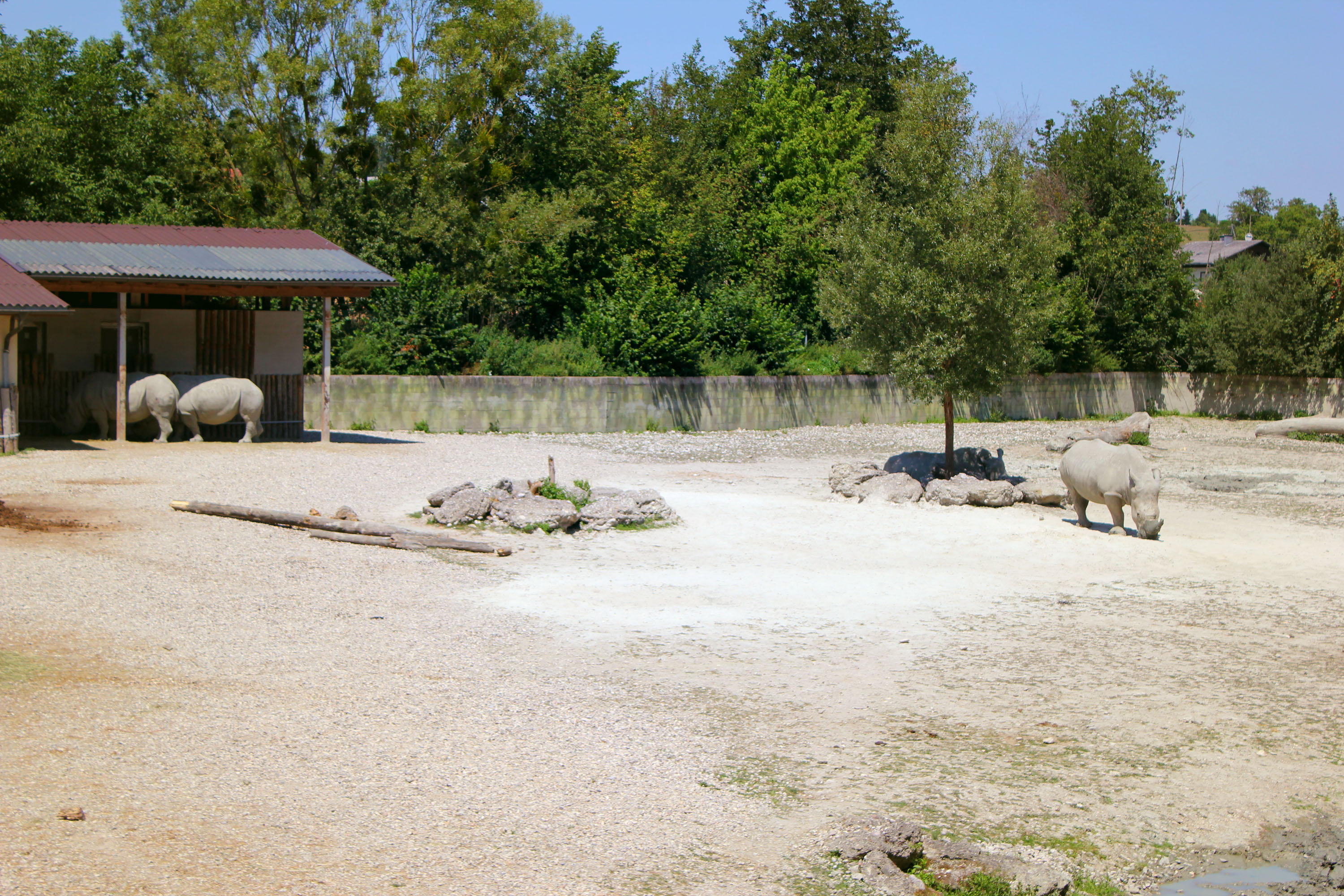 Ausflugsziel: Zoo Schmiding Aqua Zoo
