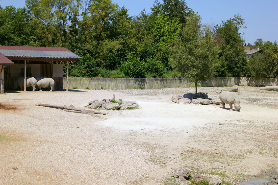 Ausflugsziel: Zoo Schmiding Aqua Zoo