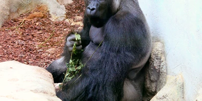Viaggio con bambini - Kleinzell im Mühlkreis - Zoo Schmiding Aqua Zoo