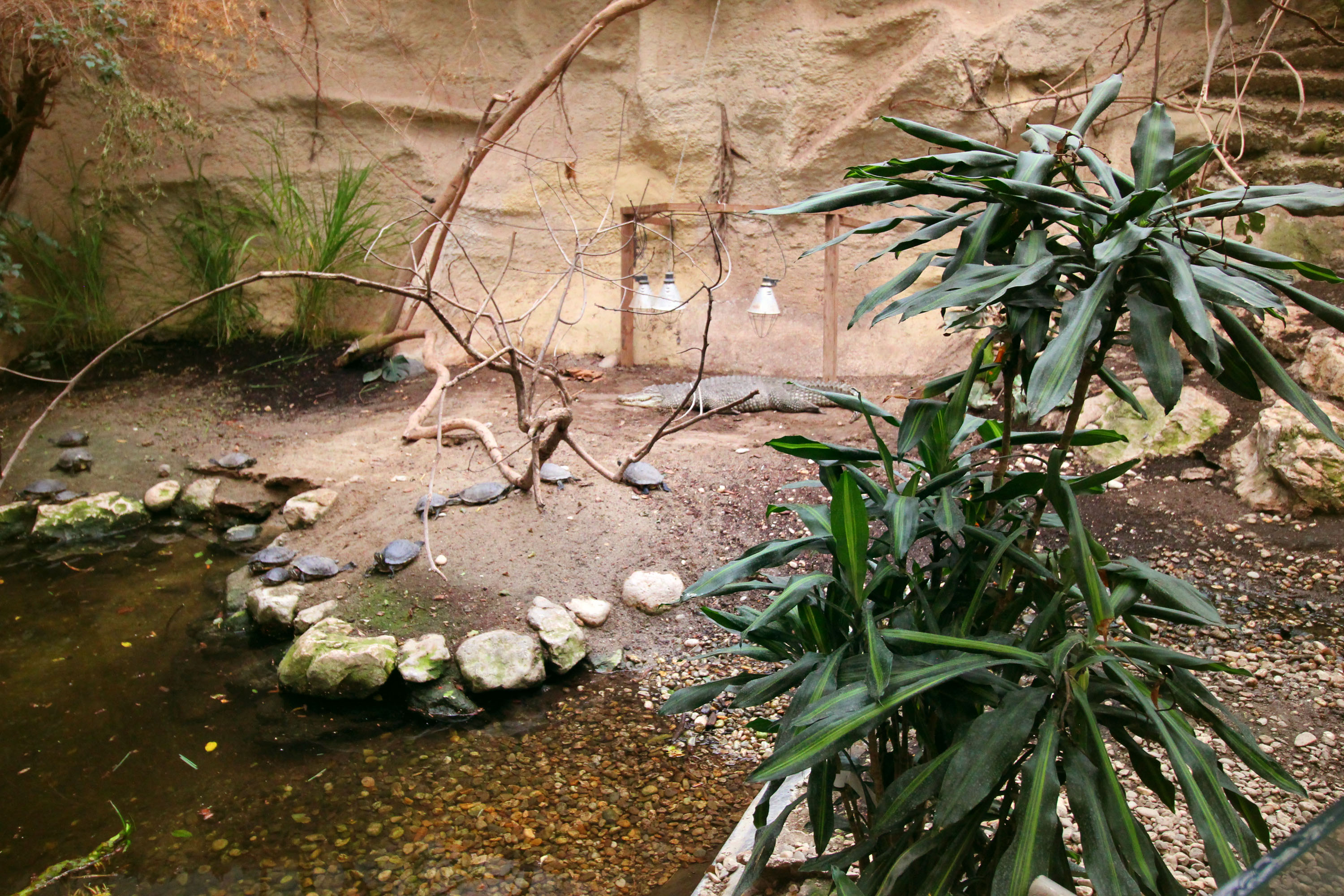 Ausflugsziel: Zoo Schmiding Aqua Zoo