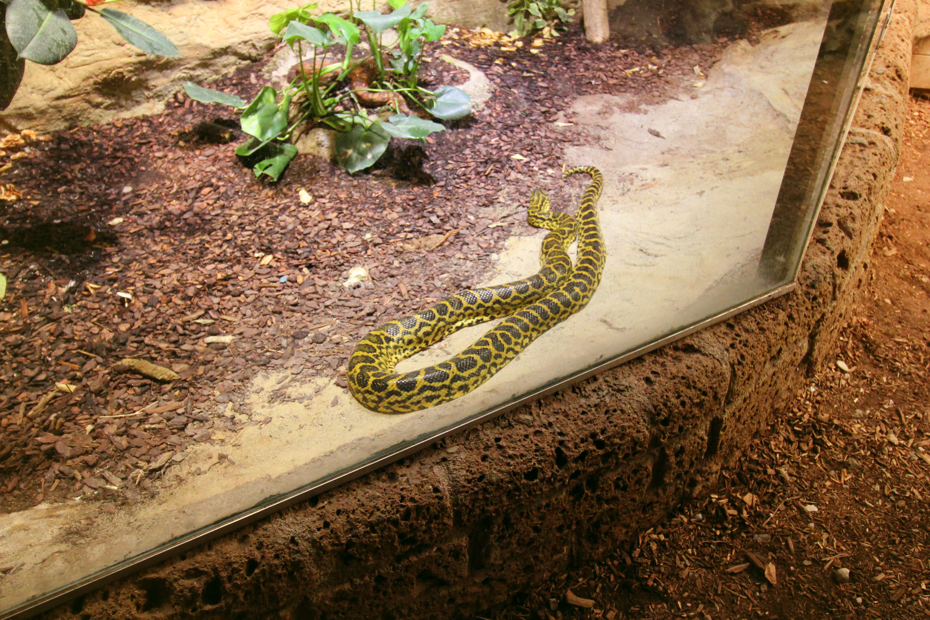 Ausflugsziel: Zoo Schmiding Aqua Zoo